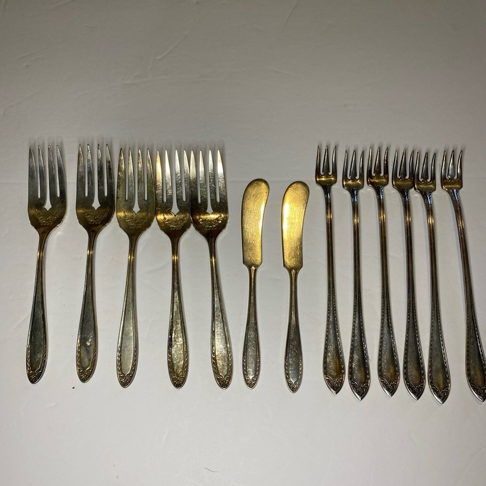BRIDAL WREATH Oneida Community Par Plate Lot Forks Knives